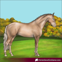 Horse Color:Gray Gold Cream Champagne Pearl 