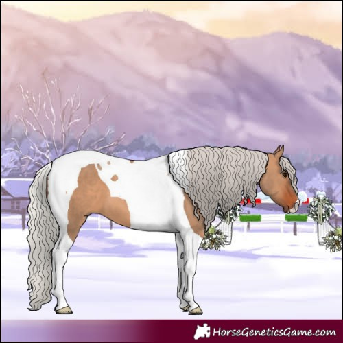 Horse Color:Silver Brown Dun Tobiano 