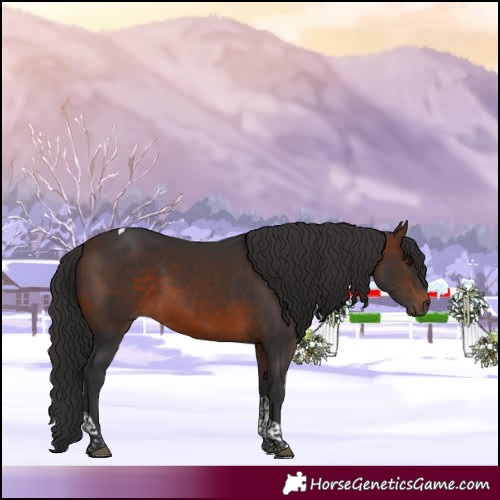Horse Color:Brown Tobiano 