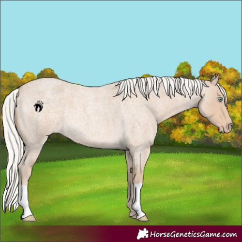 Horse Color:Silver Smoky Creme Roan 