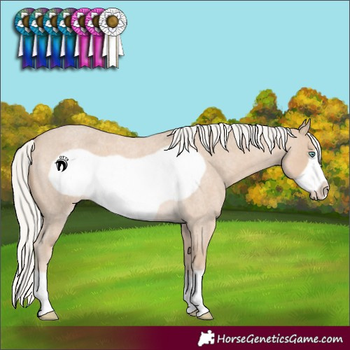 Horse Color:Silver Smoky Creme Roan Frame 