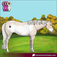 Horse Color:Silver Smoky Creme Roan Frame 