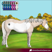 Horse Color:Silver Smoky Creme Roan Frame 