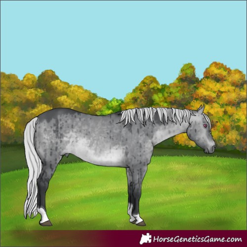 Horse Color:Silver Brown Chinchilla Dun Tobiano Brindle 