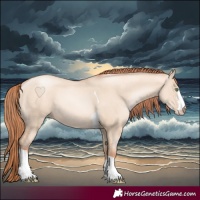 Horse Color:Classic Champagne Pearl Dun Sabino Tobiano 