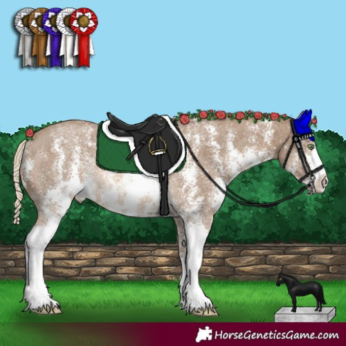 Horse Color:Chocolate Palomino Sabino Rabicano 