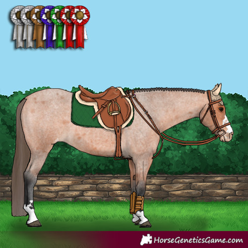 Horse Color:Bay Roan Varnish 