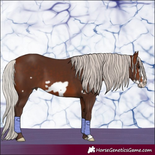 Horse Color:Silver Brown Frame 