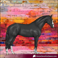 Horse Color:Black 