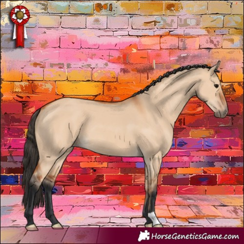Horse Color:Bay Dun 