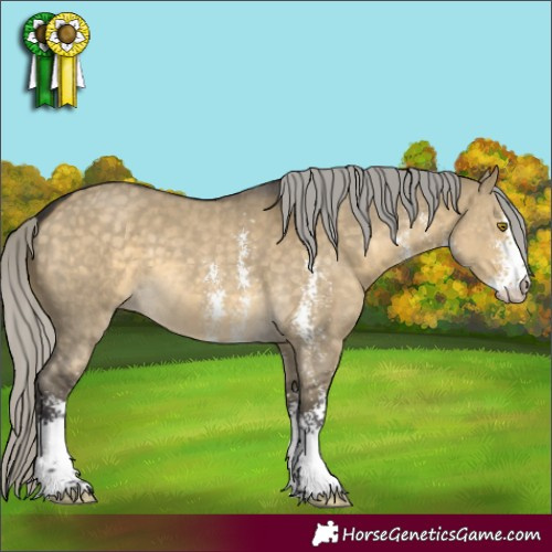 Horse Color:Silver Buckskin Dun Sabino 