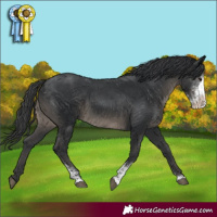 Horse Color:Black Sabino