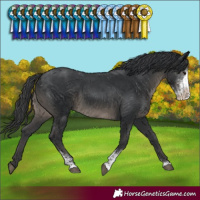 Horse Color:Black Sabino 