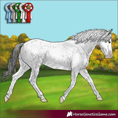Horse Color:Brown Sabino 