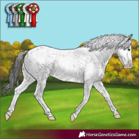 Horse Color:Brown Sabino