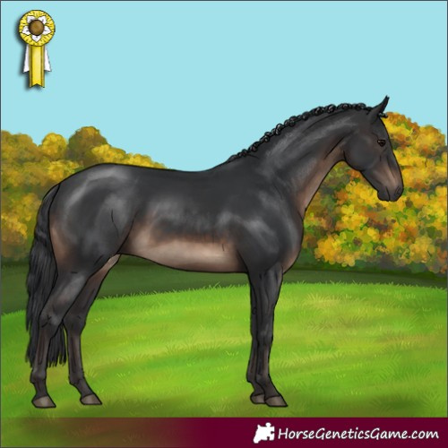 Horse Color:Brown Rabicano 