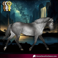 Horse Color:Gray Black Sabino Rabicano 