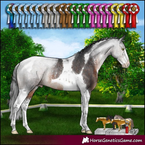 Horse Color:Brown Sabino Tobiano Varnish Rabicano 
