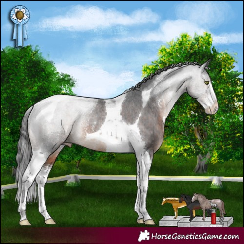 Horse Color:Brown Sabino Tobiano Appaloosa Rabicano 