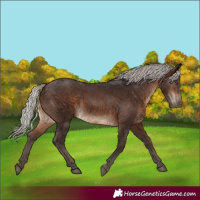 Horse Color:Silver Brown Sabino