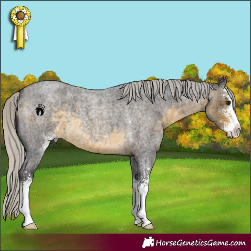 Horse Color:Silver Buckskin Roan Sabino 