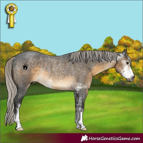 Horse Color:Gray Silver Buckskin Roan Sabino Rabicano 