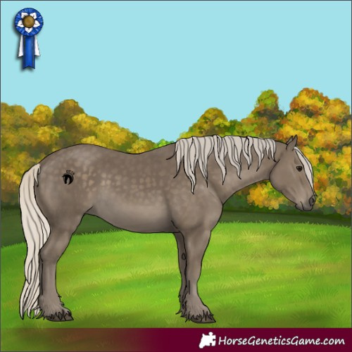 Horse Color:Silver Smoky Black 