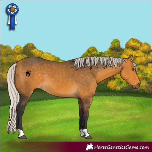 Horse Color:Silver Buckskin 