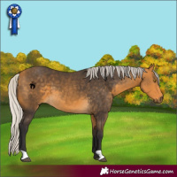 Horse Color:Silver Buckskin