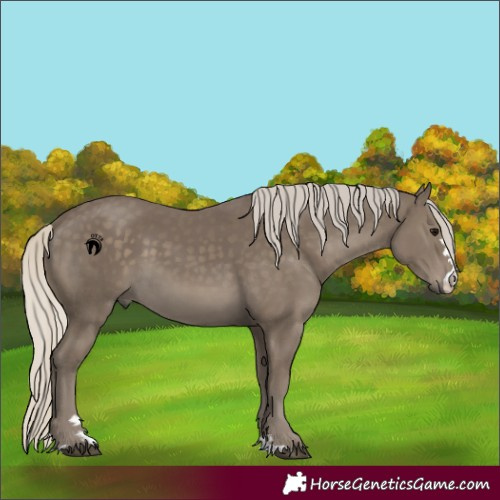 Horse Color:Silver Smoky Black 