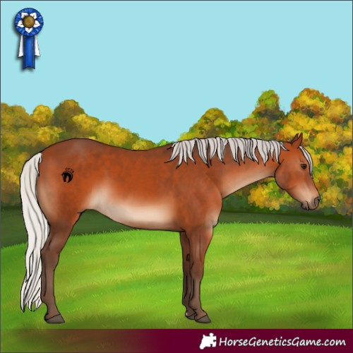 Horse Color:Silver Bay 
