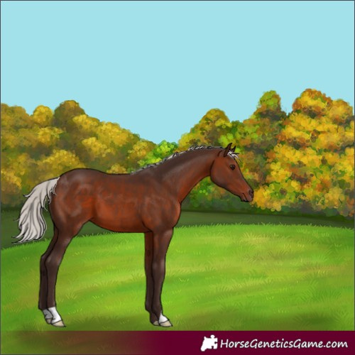 Horse Color:Silver Brown 