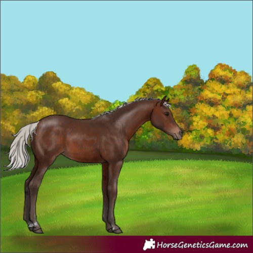 Horse Color:Silver Brown 