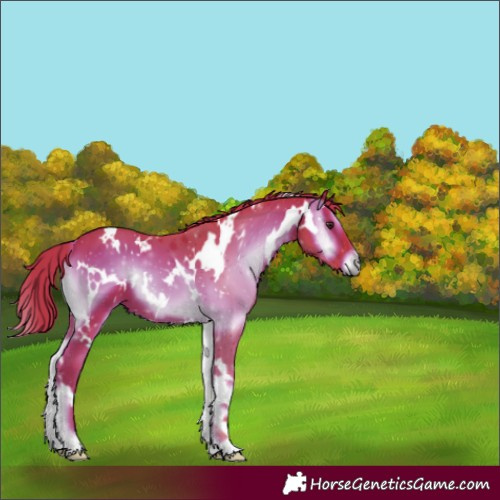 Horse Color:Watercolor White Spotted Liver Red Onyx 