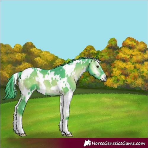 Horse Color:Watercolor White Spotted Liver Red Onyx 