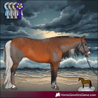 Horse Color:Silver Black Sabino  and Bay Sabino 