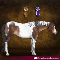 Horse Color:Liver Chestnut Tobiano 