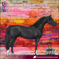 Horse Color:Black 