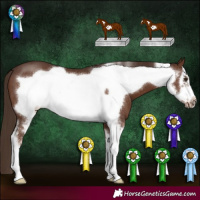 Horse Color:Liver Chestnut Sabino Frame