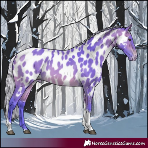 Horse Color:Watercolor Silver Bay Tobiano Near Leopard 