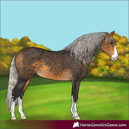 Horse Color:Silver Buckskin 