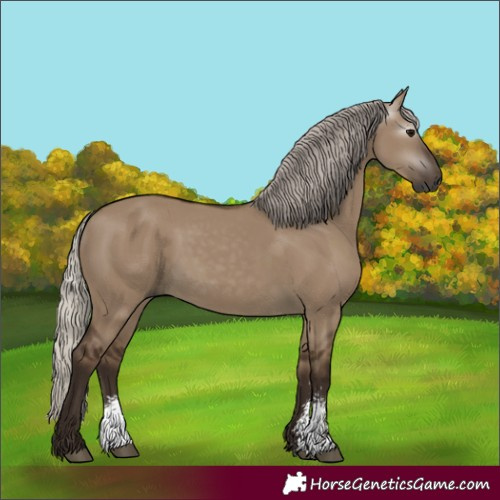 Horse Color:Gray Silver Grullo Sabino