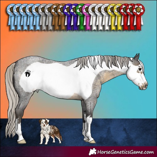 Horse Color:Silver Smoky Blue Roan Frame 