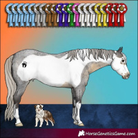 Horse Color:Silver Smoky Blue Roan Frame 