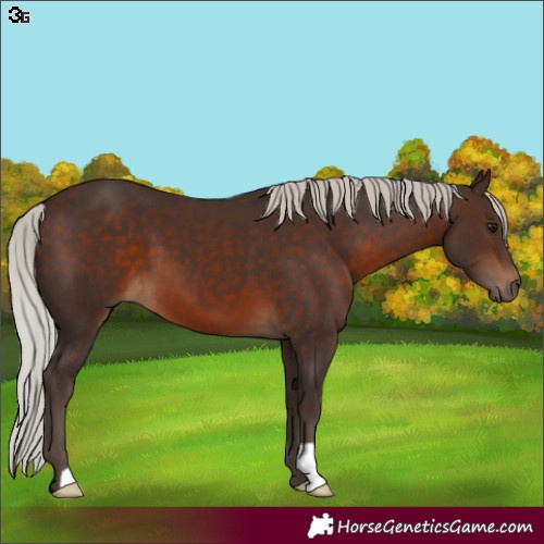 Horse Color:Silver Brown 