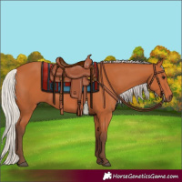 Horse Color:Silver Bay 