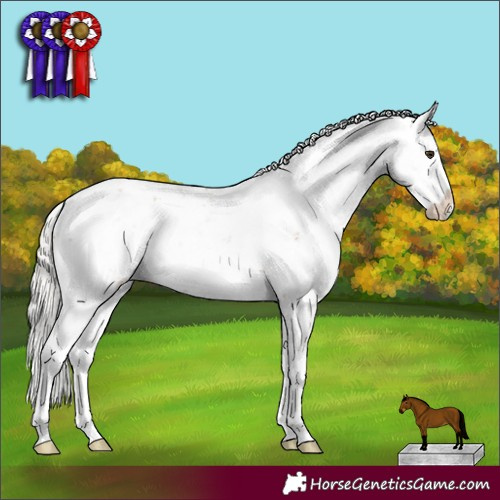 Horse Color:Silver Bay Sabino