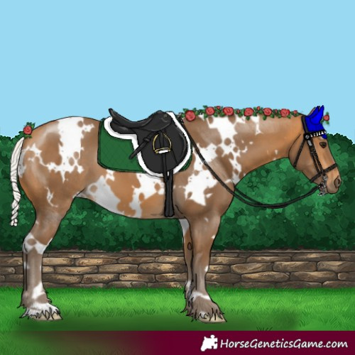 Horse Color:White Spotted Silver Buckskin 