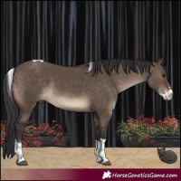 Horse Color:Brown Dun Sabino Tobiano 