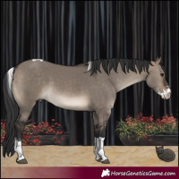 Horse Color:Brown Dun Sabino Tobiano 